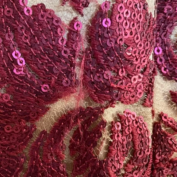 Dress the Population - Karen Plunging Lace Gown - Red - Size M - Picture 9 of 16